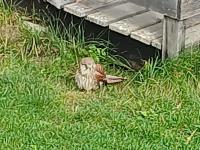 20250907_101822 (1024x768).jpg